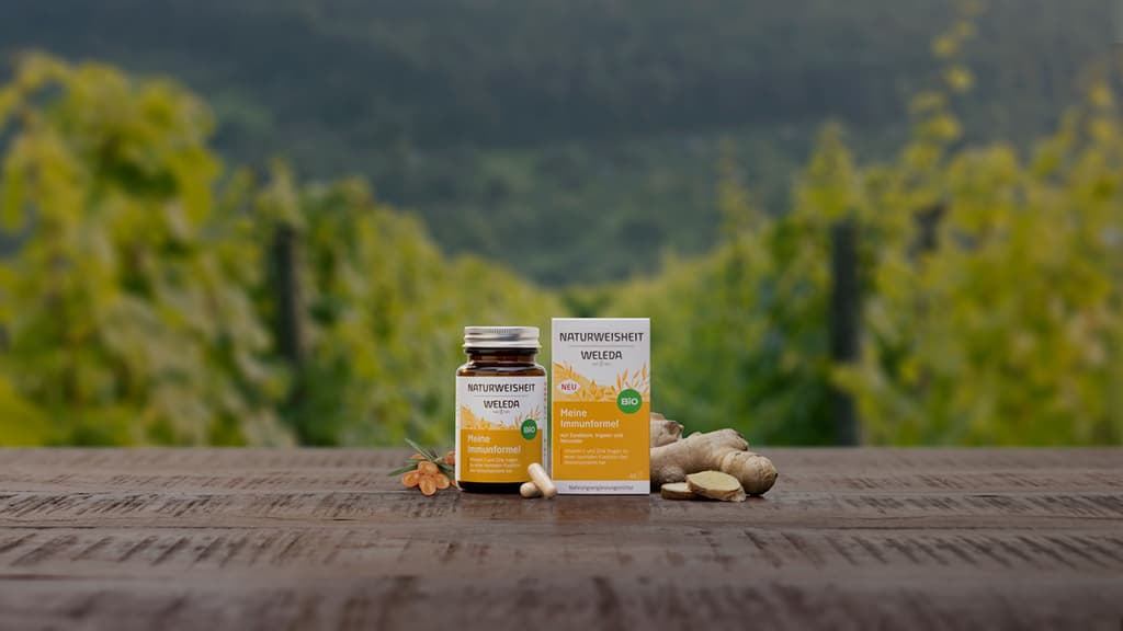 Weleda NEM Fall Campaign — 04